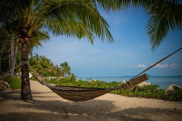 Agence location avoriaz : profitez des meilleures offres de ski