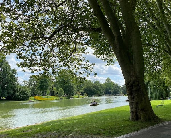 Comment visiter les réserves naturelles en Afrique sans frais d'entrée ?